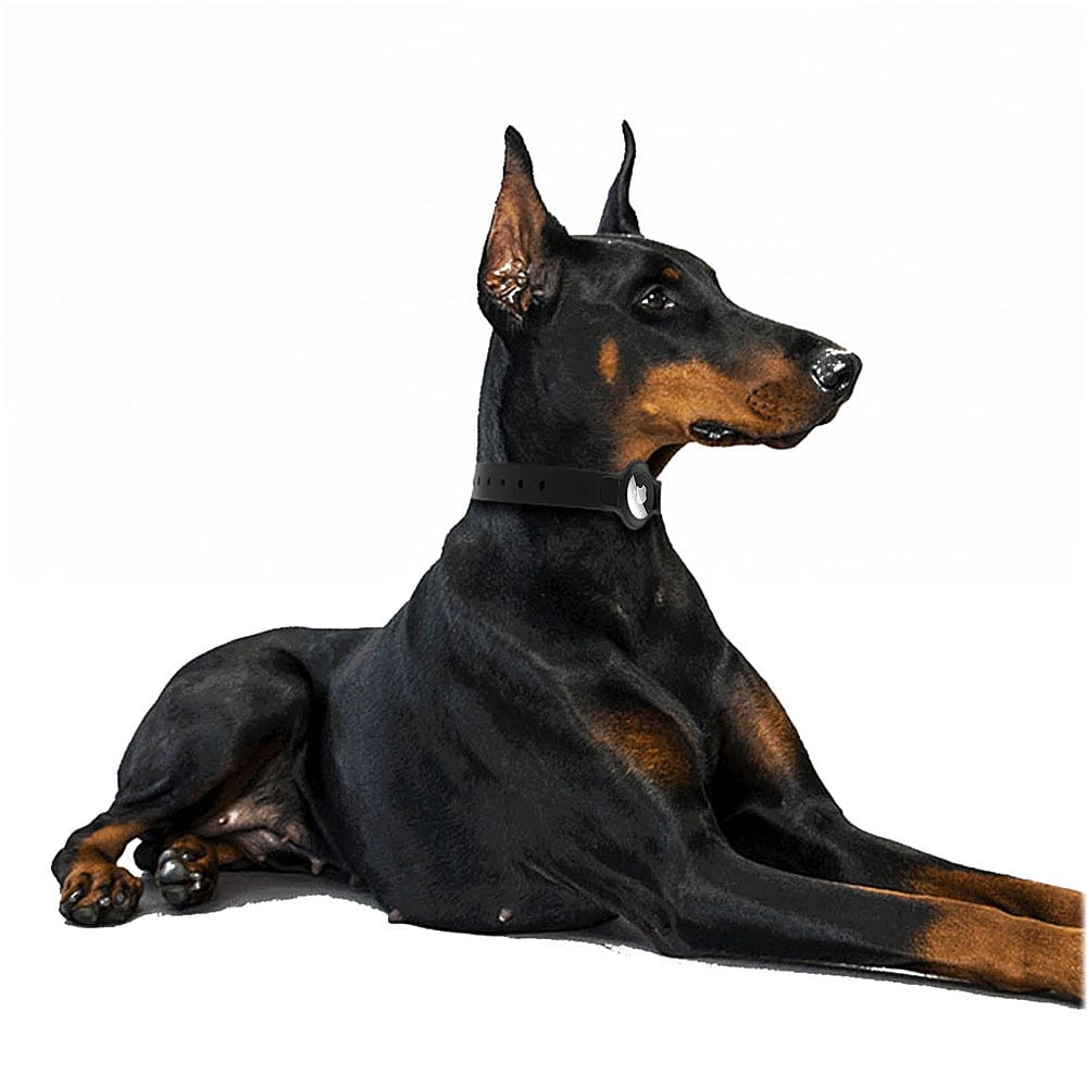 Collar de silicona negro ajustable para perros de tamaño pequeño a mediano (paquete de 2) - Apple AirTag