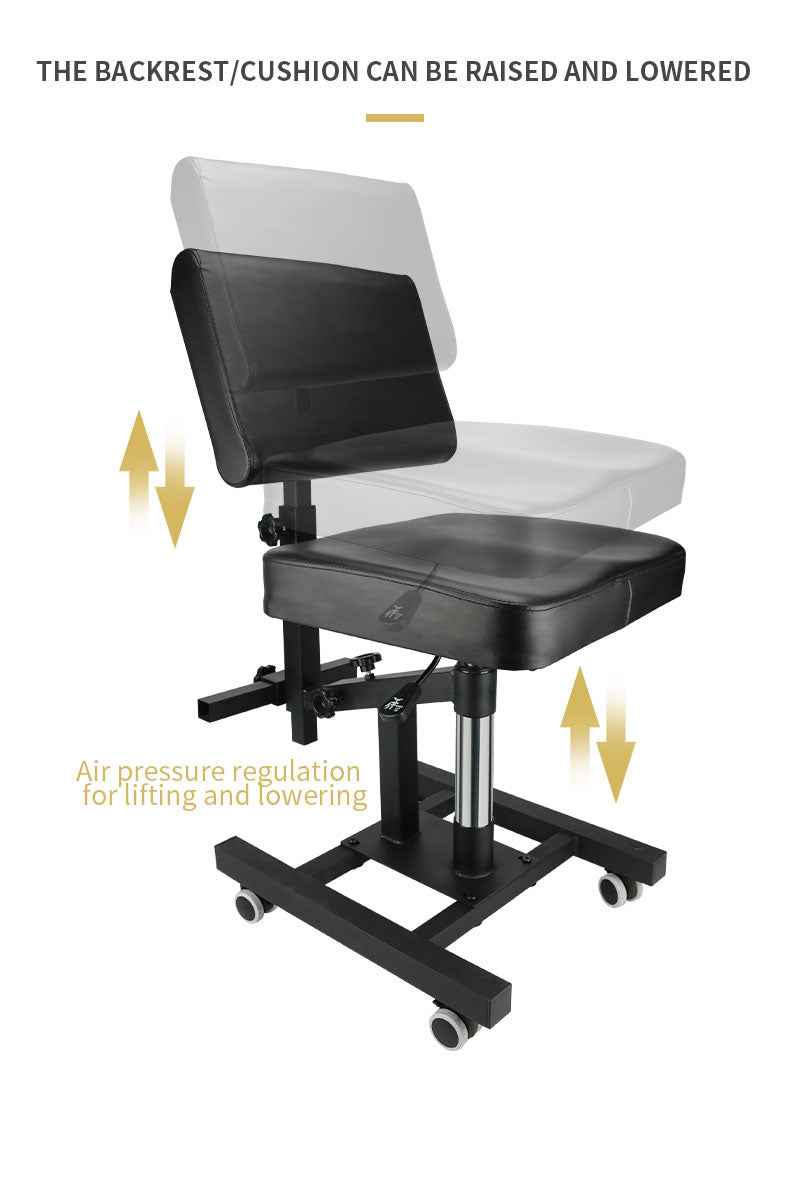 TAIDU FLASH SALE NEW UPGRADED PNEUMATIC TATTOO CHAIR LIFTABLE